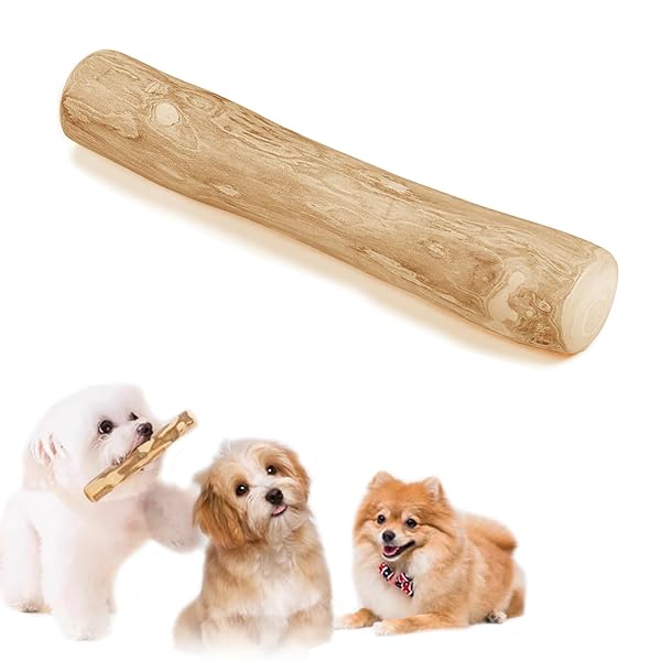 �� ���प����� �����ҡ����� ������ �����ҡ����å� ���Ѥ������������ �ڤ��� ������������ �ǥ󥿥륱�� ���ȥ쥹���� ���Υ��꡼�˥� �澮���� (XS)