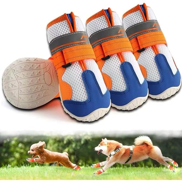  ѥ֡ ɥå塼 ΢  ɴ ݲ 2Ź¤ơ 䤹 æˤ ݸ ߤ ѵ   ɿ ...