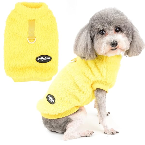 ���� ���� �ե꡼�� �������� ������ ������ �դ�դ� ���������� ���㥱�å� ������ �Ȥ��� �ɴ� ������� ���襤�� �ɥå������� ���� D����դ� ��...