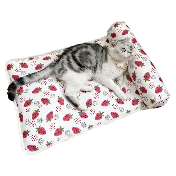ソフト クールマット ひんやり ペットベッド 犬 柔らかい 枕付き 涼感 軽量 滑り止め 丸洗い 小型 中型犬 猫 暑さ対策 顎のせ ひえひえ クッション 冷却マット 夏用 イチゴ L