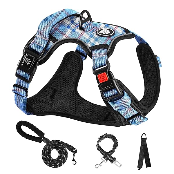  ϡͥ ƹ Ĵǽ ȿ /淿/緿 ̵ å   Ĥ    ĥɻ ɥå ...