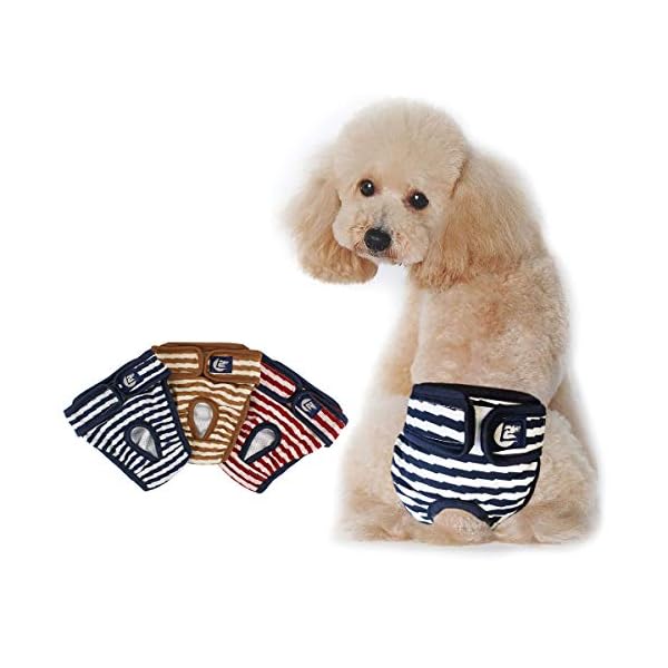 犬オムツ 犬用サニタリーパンツ 3枚 洗える 再利用可能 生理用 パンツ 女の子用 雌犬用 発情期用 生理パンツXXL