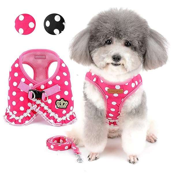 ペット用品 犬用ハーネス 小型犬用 かわいい ドット 水玉柄 リード セット通気性が ソフトメッシュ 裏地 おしゃれ 犬服ベスト お散歩 ピンク M