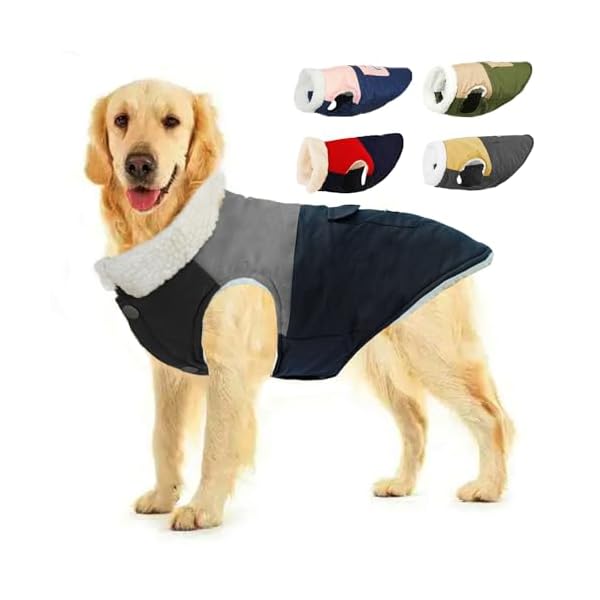 ���� ������������ ���襤�����㥱�å� ����΢���� �ɴ� �����к� ���ν����� ������ �淿�� �緿�� ���� �Ȥ��� �դ�դ� ���� �͵� ��æ��ñ ���Ф��� ...