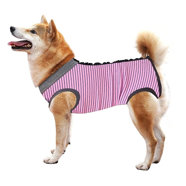 犬用 手術後服 犬術後ウェア 術後保護服 エリザベスカラーに代わる介護服 メス オス兼用 避妊 離乳 傷舐め防止 傷口保護 皮膚保護術後服 犬介護服 排泄に影響しない 背部ボタンデザイン 小型犬 中型犬