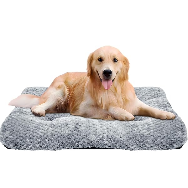 ペットクッション 猫 犬 ペットベッド ふわふわ 猫ベッド 犬ベッド もふもふ 暖かい ペットクッション 洗える 滑り止め 保温防寒 寒さ対策 ぐっすり眠る ペット用ベッド 通年 子犬 猫用 ベッド サイズ/カラー選択可 小動物用 ペット用品 おしゃ