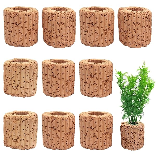 水草 おもり 水生植物固定リング 水槽用グリーンポット 水草その前に 重り 固定 リング 溶岩石 オーナメント 水槽の装飾 メダカ 10個セット (10)