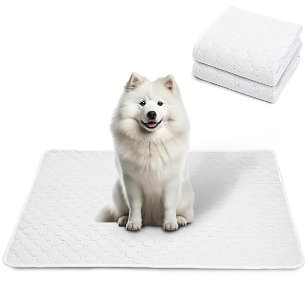 洗えるペットシーツ 犬 猫 ペット用 おしっこマット 下敷き ペットマット 滑り止め 防水 速乾 子犬/シニア犬の介護シーツ 多頭飼い 繰り返し使用可能 環境に...