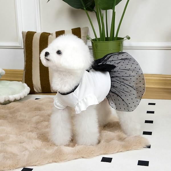 犬服 ワンピース 春夏秋冬 レーススカート ドッグドレス 犬猫用 お姫様風 UVカット 可愛い 小型犬 中型犬 お出かけ用 (スカート枚, L)