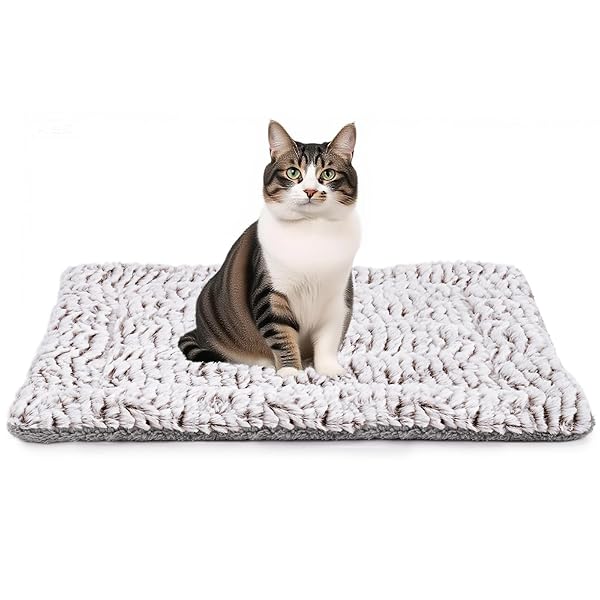 ペット用保温マット ホットマット 電気不要 体温で蓄熱 ホットカーペット対応 犬用 猫用 あったかペッ..