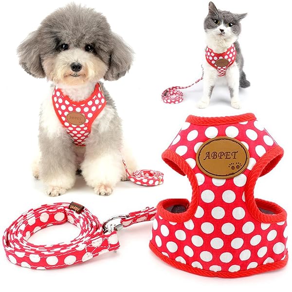 犬用 ハーネス リード セット 小型犬用 おしゃれ 可愛い ドット柄 ソフトメッシュ 胴輪 チワワ用 散歩 ペット用品 ドッグウェア レッド, S