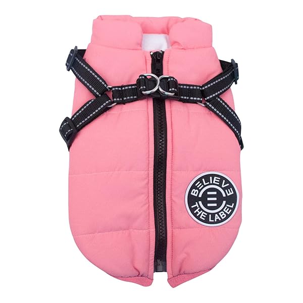 �դ�դ� ������٥��������㥱�å� ������ �� ΢�ܥ� ���� ���㥱�å� �ѡ����� µ�ʤ� �ɥå������� �ɴ� �ɿ� �꡼�ɥ�󥰤��� ������������ ���Ф��� ...