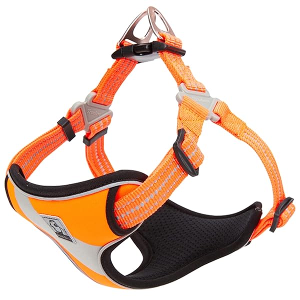 負担軽減犬用ハーネス 犬用胴輪 ドッグ ペット用品 お出かけハーネス 3M反射材料 訓練 ナイロン製 小型犬、中型犬、大型犬に向け 通気性 調節可能 おしゃれ (S, オレンジ)