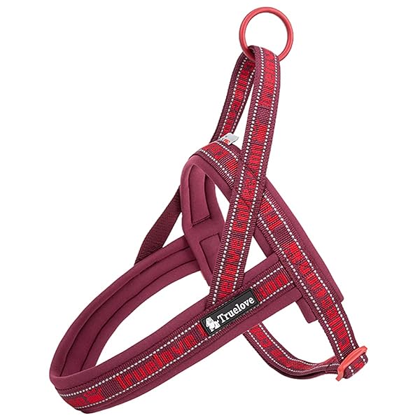 喉に優しいハーネス 2022最新 TRUE LOVE日本授権店 犬用ハーネス 犬用胴輪 ドッグ ペット用品 3M反射材料 訓練 お出かけ ネオプラン素材 小型犬、中型犬、大型犬に向け 通気性 調節可能 夏に対応 (XXXS, レッド) ever-leaf-10063818 ever-leaf パッケージ画像
