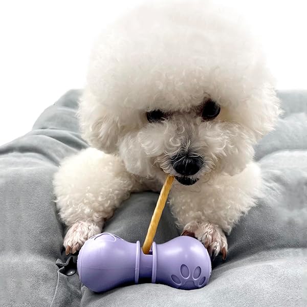 ever-leaf㤨Bully Stick Holder ѥॹ ᥹ƥå ĥۥ  ۥ -פβǤʤ5,368ߤˤʤޤ