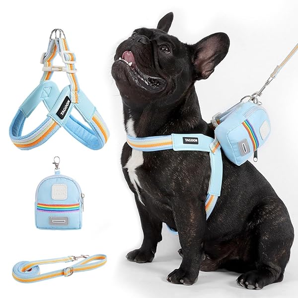 乐天商城 - 犬 ハーネス リード セット 小型犬 中型犬 用 彩虹デザイン 胴輪 V字型 通気性 メッシュ 軽量 柔らかい PU革 着脱簡単 調節可能 引っ張り防止 おしゃれ 可愛い ポーチ付き 散歩/お出かけ (ブルー, M（6-12kg）)