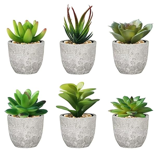 フェイクグリーン 観葉植物 フェイク 人工観葉植物 人工多肉植物 造花 光触媒 ミニ 鉢植え 6