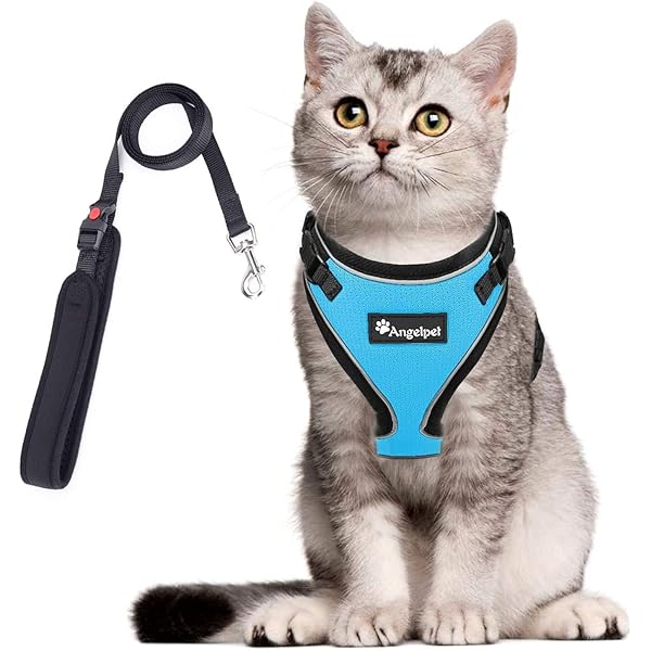 乐天商城 - 猫 猫用 ハーネス 胴輪 猫具 ねこ ネコ 子猫 子犬 小型犬 散歩 お出かけ 抜けない ベスト ソフ