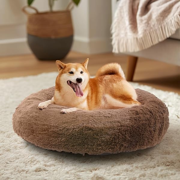 乐天商城 - JEMAジェマ 犬ベッド猫ベッド ペットベッド 秋冬用 ふわふわ 丸型 クッション ドーナツペット