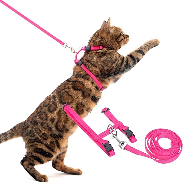 乐天商城 - 猫 ハーネス リードセット 猫用ハーネス 猫牽引ロープ 猫用胴輪 ペット用品 ハーネスリード