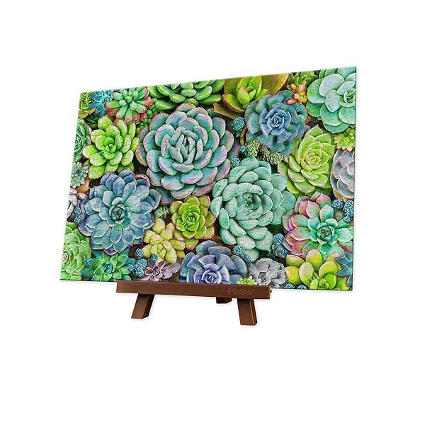 ピントー 368ピース ミニパズル プラ製ジグソーパズル【多肉植物の壁】(13X19cm)子供大人 破片