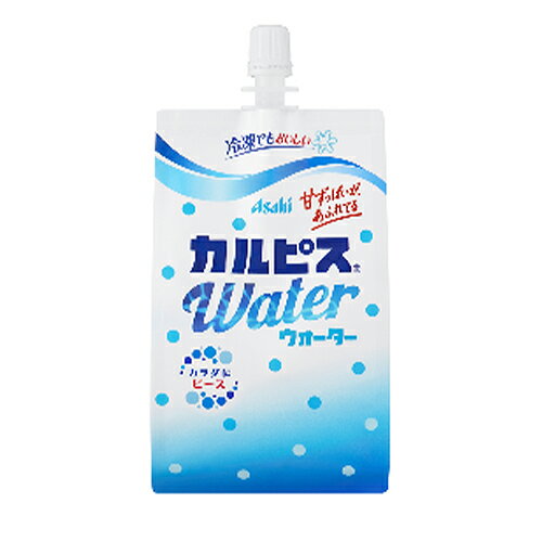 カルピスウォーターパウチ　300ml×30本×2ケース /運動会/遠足/祭り/子供会/幼稚園/