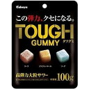 カバヤ タフグミ 100g×6個