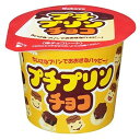 【全商品ポイント10倍 5/9(金)20:00〜5/10(土)23:59】カバヤ プチプリンチョコ 34g×12個