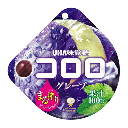UHA味覚糖　コロロ　グレープ　48g×12個