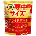 湖池屋 夢中サイズ 湖池屋プライドポテト ぞっこん岩塩 102g×12個×2セット 駄菓子/スナック菓子/スナック駄菓子/おやつ/ポテトチップス/じゃがいも