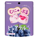 カバヤ ピュアラルグミ ぶどう 58g×16個(4)