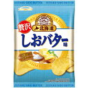 山芳製菓 ポテトチップス 北海道しおバター味 50g×12個×2セット 駄菓子/スナック菓子/スナック駄菓子