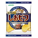 山芳製菓 ポテトチップス しおビーフ 47g×12個×2セット 駄菓子/スナック菓子/スナック駄菓子