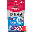 UHA味覚糖 UHAグミサプリ 鉄&葉酸 20日分×6個 (送料無料)(ポストC)