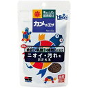キョーリン 飼育教材カメのエサ(小粒) 50g × 10個