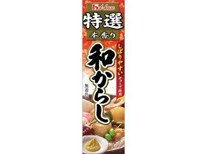 ハウス食品 特選和からし42g ×120個【送料無料】