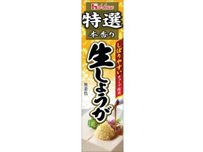 ハウス食品 特選本香り生しょうが40g ×120個【送料無料】