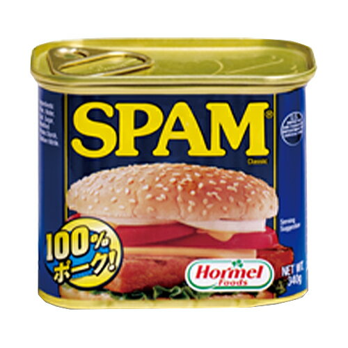Hormel ホーメル スパム クラシック レギュラー 缶詰(340g)×12個×2セット