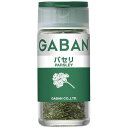GABAN ギャバン4gパセリ ×5個×2セット