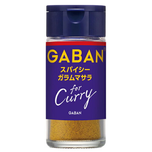 ハウス食品　GABAN　for　Curry　スパイシーガラムマサラ（17g）×10個×3セット 1