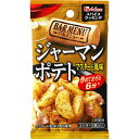 ハウス食品　スパイスクッキングバルメニュー＜ジャーマンポテトマスタード風味＞11g（5.5g×2袋）×10個