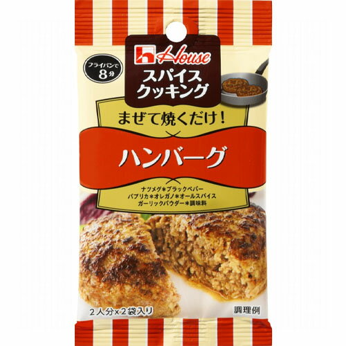 ハウス食品　スパイスクッキング＜ハンバーグ＞8.2g（4.1g×2袋）×10個×2セット