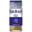 GABAN ギャバン15gクミン<パウダー>×5個×2セット