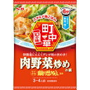 S&B 町中華 肉野菜炒めの素 64g×10個×2セット やみつき特製塩にんにくダレ 老若男女から愛された「今はない」町中華の王道店の看板メニュ-