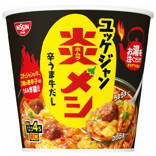 【全商品ポイント5倍 3/21(金)20:00〜3/27(木)1:59】日清炎メシ 辛うまユッケジャン 106g ×6個×2セット