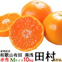 (予約)「高級 田村みかん」10kg・赤秀・Mサイズ 【送料無料(北海道・沖縄以外)】紀州和歌山有田 旬の和歌山有田たむらみかん/有田みかん/みかん 10kg