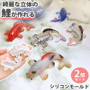 【2個セット】 鯉 シリコンモールド 金魚 魚 レジン キーホルダー アクセサリー uvレジン シリコン モールド オルゴナイト アロマストーン 石膏 石鹸 キャンドル 樹脂 粘土 型