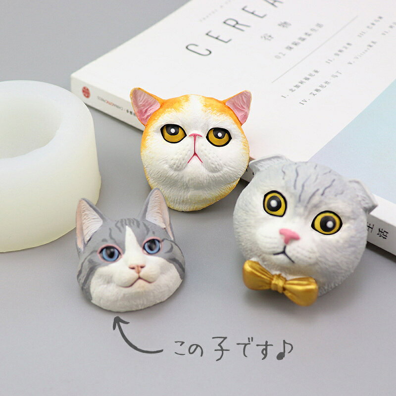 サンプル画像2