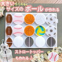 シリコンモールド ボール サッカー バスケットボール 野球 ラグビー バレーボール ベースボール ストロートッパー レジン アクセサリー イヤリング ピアス キ...