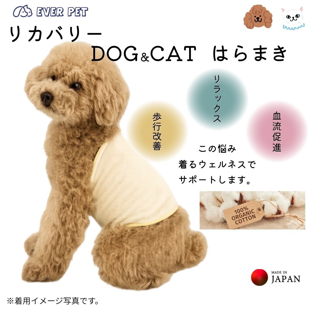 シニア犬　高齢犬　介護ペット　歩行改善　歩行サポート　夜鳴き改善　血流促進　リラックス効果　犬腹巻　猫腹巻　胴巻き　ペットウェア　オーガニックコットン　日本製